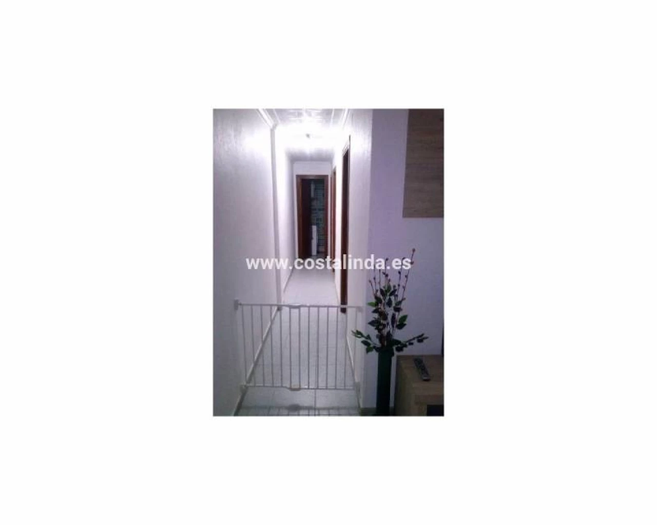 LAC 2487  | LAC 2487 